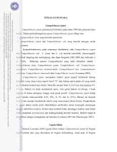 TINJAUAN PUSTAKA Campylobacter jejuni