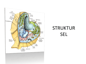 6. Struktur sel