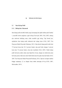 II. TINJAUAN PUSTAKA 2.1 Ikan Kakap Putih 2.1.1 Biologi dan