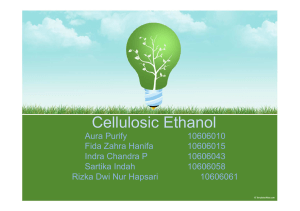 Kelompok 4 (Cellulosic Ethanol