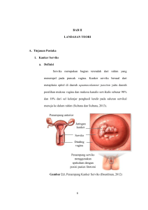 6 BAB II LANDASAN TEORI A. Tinjauan Pustaka 1. Kanker Serviks a