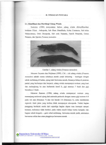 2.1. Klasifikasi dan Morfologi Udang Windu Soetomo (1990