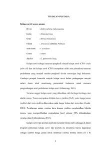 4 TINJAUAN PUSTAKA Kelapa sawit secara umum Divisi