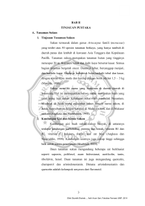 3 BAB II TINJAUAN PUSTAKA A. Tanaman Sukun 1. Tinjauan