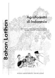 Agroforestri di Indonesia - World Agroforestry Centre