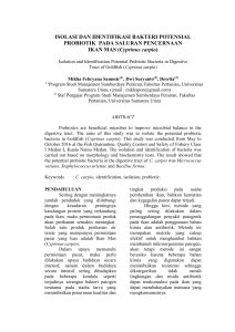 ISOLASI DAN IDENTIFIKASI BAKTERI POTENSIAL PROBIOTIK
