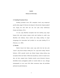 5 BAB II TINJAUAN PUSTAKA 2.1 Kambing Peranakan Etawa