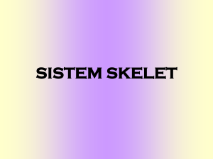 sistem skelet - Direktori File UPI