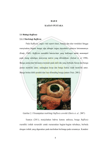 8 BAB II KAJIAN PUSTAKA 2.1 Biologi Rafflesia 2.1.1 Morfologi