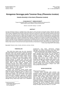 Keragaman Serangga pada Tanaman Roay (Phaseolus