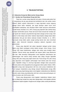 ii. tinjauan pustaka