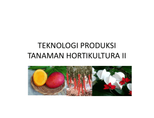 teknologi produksi tanaman hortikultura ii