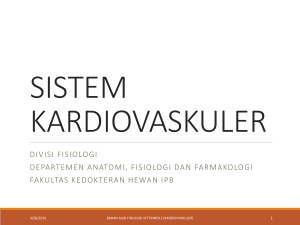 sistem kardiovaskuler