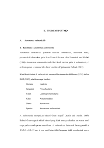 II. TINJAUAN PUSTAKA A. Aeromonas salmonicida 1. Klasifikasi