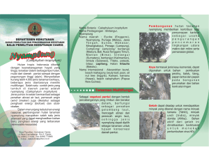 brosur nyamplung.cdr - Balai Penelitian Teknologi Agroforestry