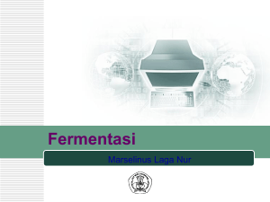 Fermentasi - nurdhienln