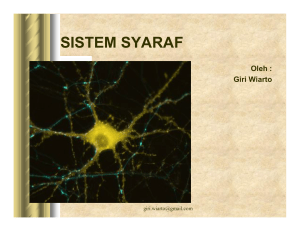 SISTEM SYARAF