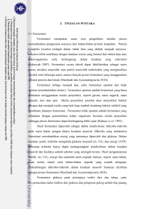 3 2. TINJAUAN PUSTAKA 2.1 Fermentasi