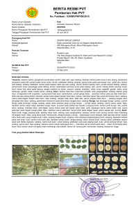 berita resmi pvt - Pusat Perlindungan Varietas Tanaman dan