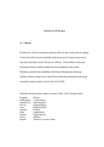 TINJAUAN PUSTAKA 2.1 Ubikayu Di Indonesia, ubikayu