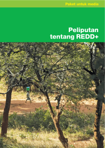 Peliputan tentang REDD+ - Earth Journalism Network