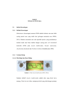 BAB II TINJAUAN PUSTAKA 2.1 Infeksi Kecacingan 2.1.1 Definisi