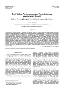 Studi Biologi Pembungaan pada Talas (Colocasia esculenta