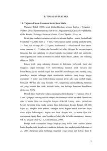 II. TINJAUAN PUSTAKA 2.1. Tinjauan Umum Tanaman Jeruk Siam