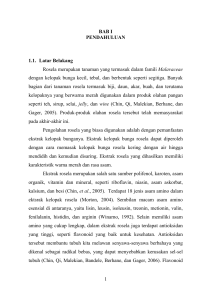 LAPORAN PRAKTEK KERJA INDUSTRI PENGOLAHAN PANGAN