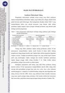 Kajian morfologi proses persembuhan kerusakan