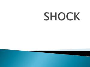 Shock - FK UWKS 2012 C