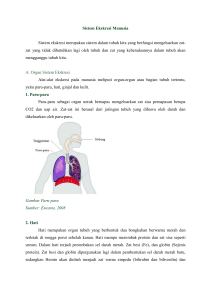 berikut ini