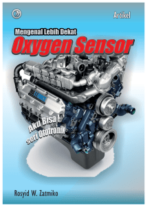 Oxygen Sensor - WordPress.com