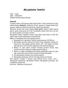 Mycoplasma hominis