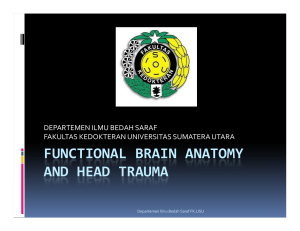 functional brain anatomy and head trauma - USU OCW