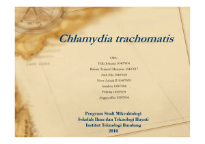 Chlamydia trachomatis