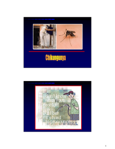 chikungunya