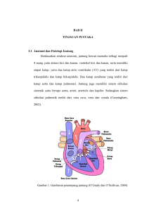 4 BAB II TINJAUAN PUSTAKA 2.1 Anatomi dan Fisiologi Jantung