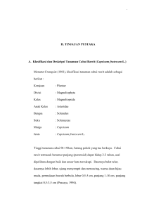 8 II. TINJAUAN PUSTAKA A. Klasifikasi dan Deskripsi Tanaman