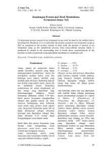 Kandungan Protein dari Hasil Metabolisme Fermentasi Jamur Teh