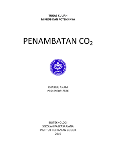 PENAMBATAN CO2