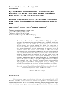 Uji Daya Hambat Isolat Bakteri Asam Laktat Usus Itik