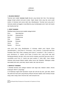 J E R U K ( Citrus sp. ) 1. SEJARAH SINGKAT Tanaman jeruk