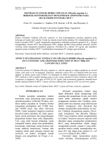 EKSTRAK ETANOLIK HERBA CIPLUKAN (Physalis