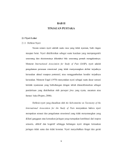 BAB II TINJAUAN PUSTAKA