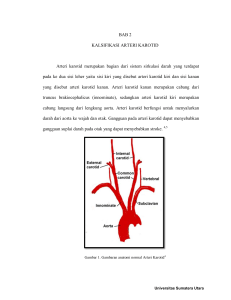 BAB 2 KALSIFIKASI ARTERI KAROTID Arteri karotid merupakan