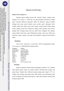 Gambaran leukosit pada mencit yang diinfeksi Plasmodium berghei