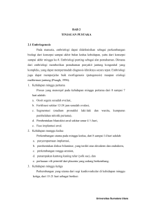 BAB 2 TINJAUAN PUSTAKA 2.1 Embriogenesis Pada manusia