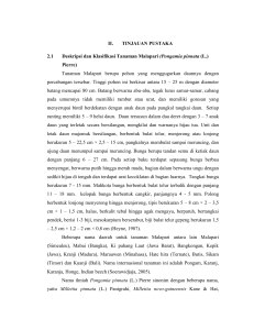 II. TINJAUAN PUSTAKA 2.1 Deskripsi dan Klasifikasi Tanaman