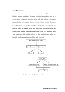 Kerangka Pemikiran Perluasan Hutan Tanaman Indonesia dengan